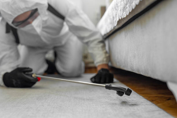 Professional Termite Control technician working in Cibolo, TX